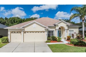 22531 EAGLES WATCH DRIVE, LAND O LAKES, FL 34639 Sold 09/18/25