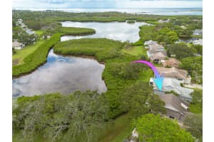 1005 POINTE ALEXIS DRIVE, TARPON SPRINGS, FL 34689 Sold 10/24/24