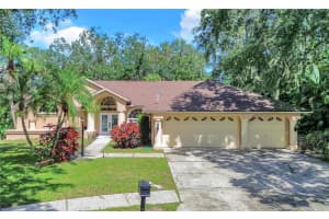 4773 BERWYN COURT, PALM HARBOR, FL 34685 Sold 02/06/25