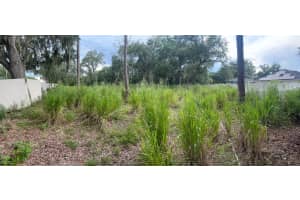 9919 ALAFIA RIVER LANE, GIBSONTON, FL 33534 Sold 12/23/24