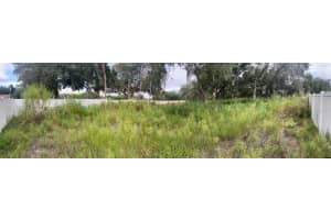 9919 ALAFIA RIVER LANE, GIBSONTON, FL 33534 Sold 12/23/24