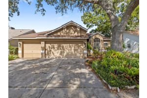 1953 WOOD HAVEN STREET, TARPON SPRINGS, FL 34689 Sold 11/22/24
