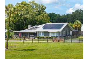 33719 SICKLER DRIVE, DADE CITY, FL 33523 Sold 03/20/25