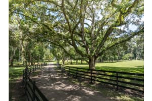 33719 SICKLER DRIVE, DADE CITY, FL 33523 Sold 03/20/25