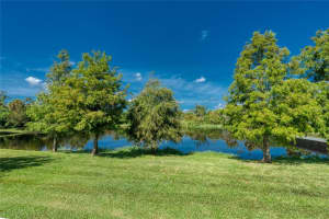 8006 RED ORCHARD COURT, TAMPA, FL 33635 Sold 09/27/24