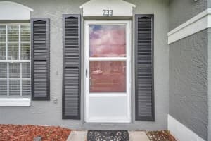 233 COUNTRYSIDE KEY BOULEVARD, OLDSMAR, FL 34677 Sold 11/27/24