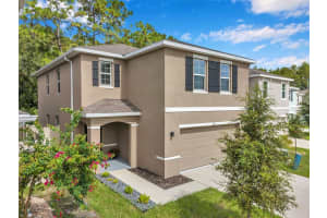 7641 CYPRESS WALK DRIVE, NEW PORT RICHEY, FL 34655 Sold 03/14/25