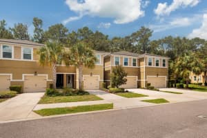 17860 Althea Blue Pl, LUTZ