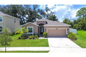 6689 COBBLE BLISS STREET, ZEPHYRHILLS, FL 33541 Sold 12/03/24