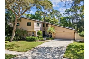 3047 Enisglen Dr, PALM HARBOR