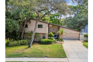 3047 ENISGLEN DRIVE, PALM HARBOR, FL 34683 - MLS#MFRU8255939