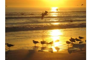 3003 S Atlantic Ave, Daytona Beach Shores, FL 32118, Sold 09/30/16