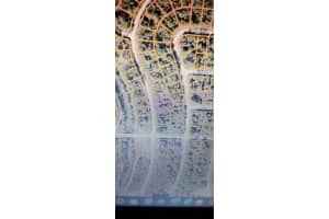 LANGLAIS DR, NORTH PORT, FL 34288 - MLS#MFRV4926643