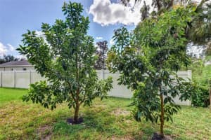 1726 LADY FERN TRL, DELAND, FL 32720 Sold 10/31/22