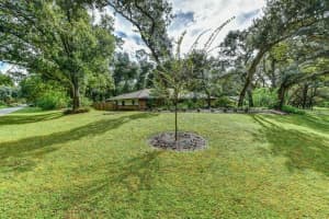 734 Black Ironwood Dr, DeLand, FL 32724, Sold 12/29/22