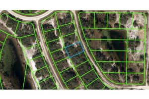 107 VAGABOND AVENUE, LAKE PLACID, FL 33852 - MLS#MFRV4928272