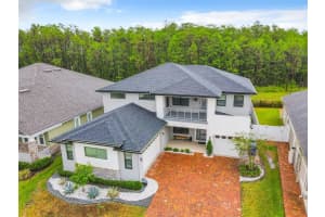 2413 FENETRE LANE, KISSIMMEE, FL 34741 Sold 06/23/23