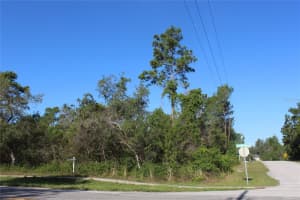 3145 YORKSHIRE DRIVE, DELTONA, FL 32738 - MLS#MFRV4930096