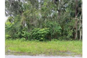 WILSON AVE, DELAND, FL 32720 - MLS#MFRV4930539