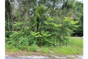 WILSON AVE, DELAND, FL 32720 - MLS#MFRV4930539