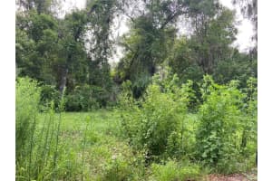 WILSON AVE, DELAND, FL 32720 - MLS#MFRV4930539