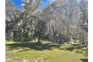 252 BUFORD AVENUE, ORANGE CITY, FL 32763 Sold 03/26/25