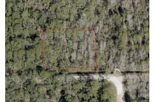 BLOSSOM RD, DELAND, FL 32724 - MLS#MFRV4932943