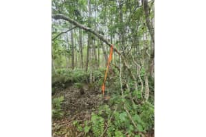 12TH AVE DELAND, DELAND, FL 32724 - MLS#MFRV4933960