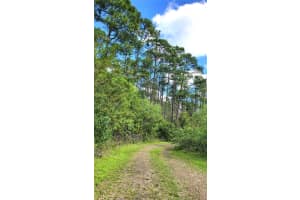 NO STREET, DELAND, FL 32724 Sold 04/02/26