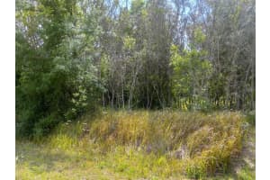 PINE RADIAL, OCALA, FL 34471 Sold 02/03/25