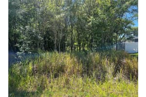 PINE RADIAL, OCALA, FL 34471 Sold 02/03/25