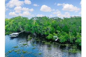 1850 LAKE DISSTON DRIVE, BUNNELL, FL 32110 Sold 04/03/25