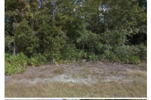 0 MITCHELL AVENUE, MIMS, FL 32754 - MLS#MFRV4936042