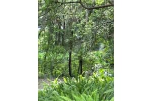 GRAND AVENUE, DELAND, FL 32720 Sold 04/30/26