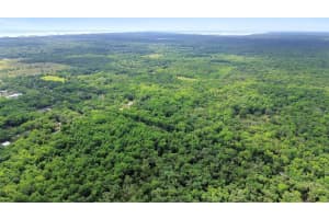 MAYTOWN RD, OAK HILL, FL 32759 - MLS#MFRV4936760