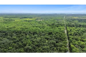 MAYTOWN RD, OAK HILL, FL 32759 - MLS#MFRV4936760