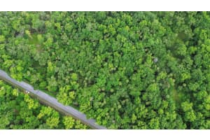 MAYTOWN RD, OAK HILL, FL 32759 - MLS#MFRV4936760