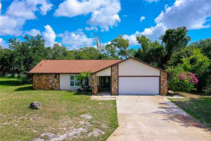 1133 BUTTERMILK LANE, PORT ORANGE, FL 32129 Sold 12/31/24