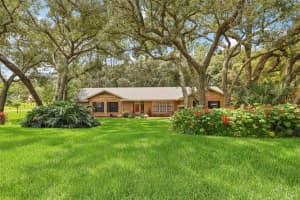 564 BLACK IRONWOOD DRIVE, DELAND, FL 32724 Sold 12/04/24