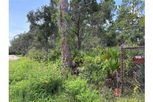 60 FYFE AVENUE, DEBARY, FL 32713 Sold 06/23/25