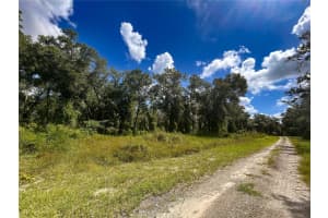 EMERALD WOODS WAY, DELAND, FL 32720 - MLS#MFRV4938155