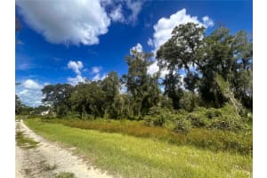 EMERALD WOODS WAY, DELAND, FL 32720 - MLS#MFRV4938155