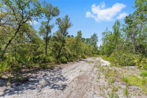 000 NE 150TH AVE RD, FORT MC COY, FL 32134 - MLS#MFRV4938191