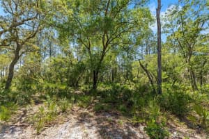 000 NE 150TH AVE RD, FORT MC COY, FL 32134 - MLS#MFRV4938191