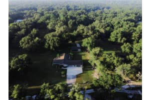 1083 NE 137TH LN, OXFORD, FL 34484 Sold 11/19/24