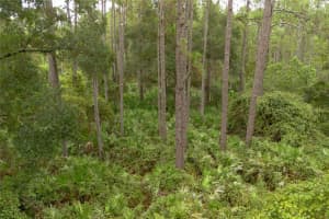 12TH AVE, DELAND, FL 32724 - MLS#MFRV4938430