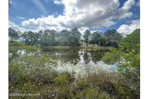 1131 OWL CIRCLE, MIMS, FL 32754 Sold 12/11/24