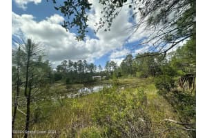 1131 OWL CIRCLE, MIMS, FL 32754 Sold 12/11/24