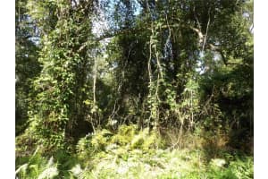 11TH AVE, DELAND, FL 32724 Sold 01/24/25