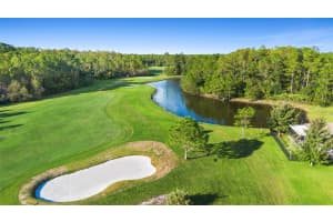 133 FAIRWAY COURT, BUNNELL, FL 32110 Sold 03/24/25
